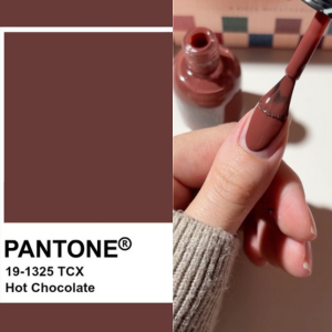 Hot Chocolate  pantone
